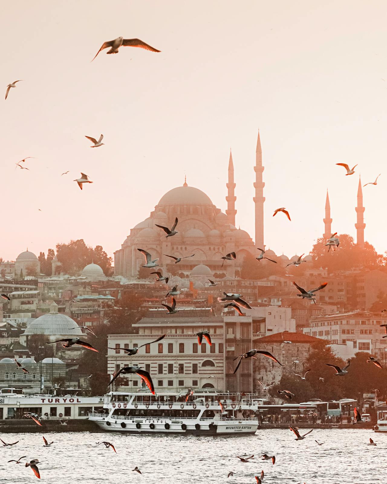 Istanbul mosque view